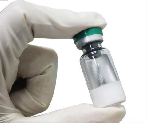 Pirarubicin 99.99% Antineoplastic Antibiotic In Powder Form Cas 72496-41-4