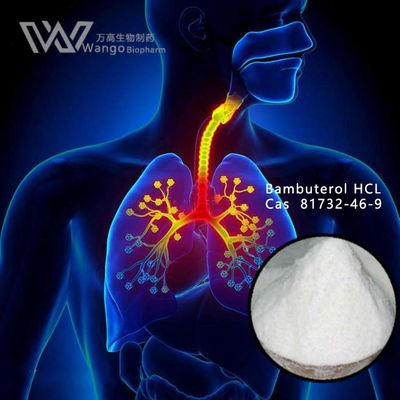 Bambuterol HCL 99% Anti Asthmatic Agents 81732-46-9 For Bronchial Asthma Treatment
