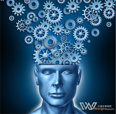 Idra21 Memory Cognitive Enhancement Nootropics Brain Supplement