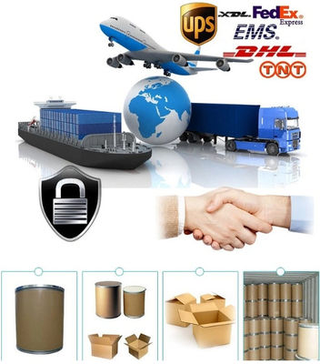 50% 80% Alpha GPC Choline , Choline Alfoscerate Powder 28319-77-9
