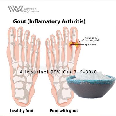 USP 39 Allopurinol Powder , Allopurinol Anti Inflammatory water soluble