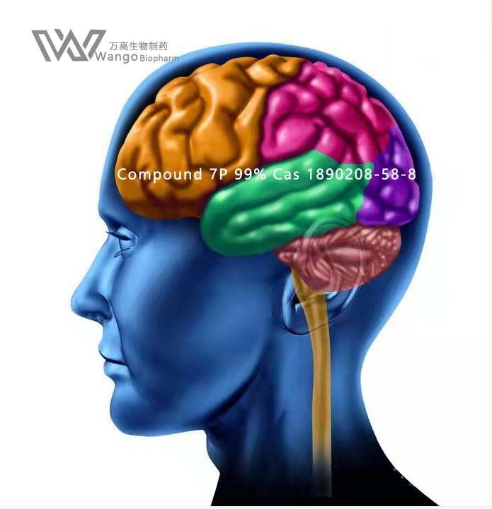 Compound 7p Nootropics Bulk Powders CAS 1890208-58-8 for Memory Enhance