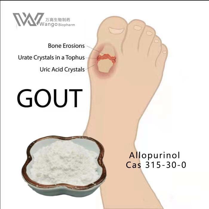 Anti Gout Allopurinol Powder 315-30-0 For Hyperuricemia Treatment