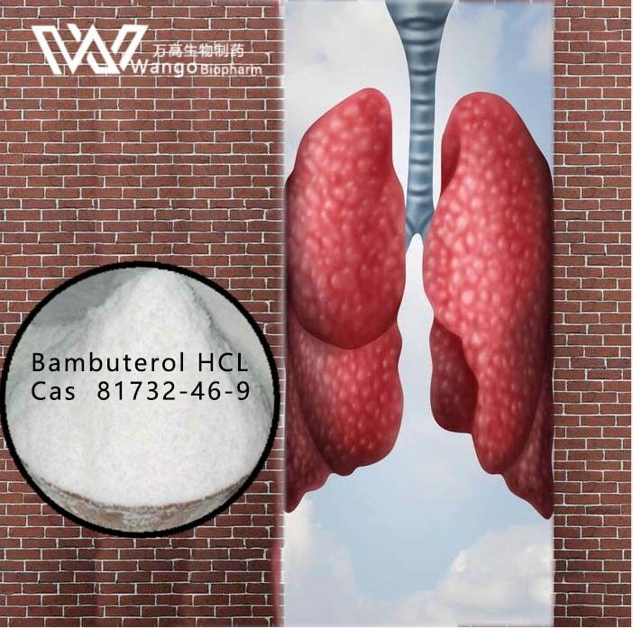 Bambuterol HCL 99% Anti Asthmatic Agents 81732-46-9 For Bronchial Asthma Treatment