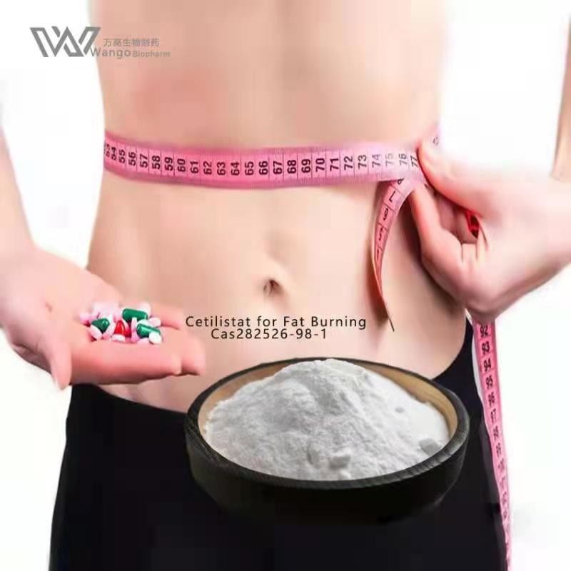 Cetilistat Weight Loss Supplement Powder Cas 282526-98-1 For Fat Burning