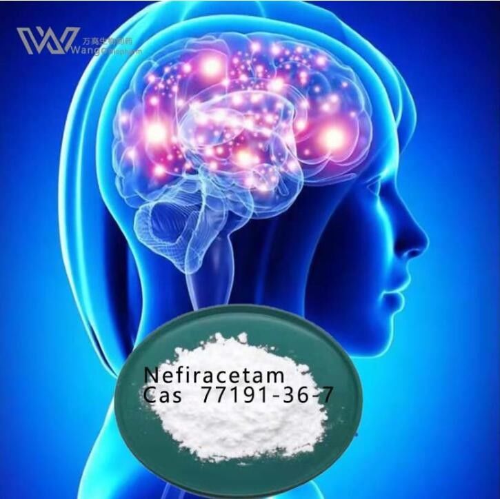 What Is Nefiracetam Powder Benefits Nootropics Brain Supplement