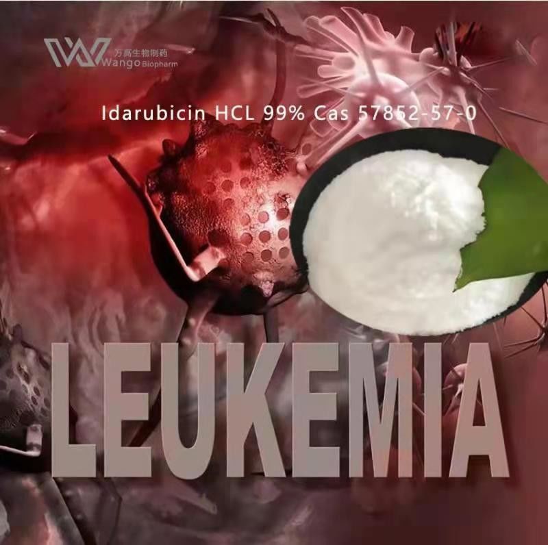 Leukemia Treatment Anti Cancer Supplements Idarubicin HCL 99.99% Cas 57852-57-0