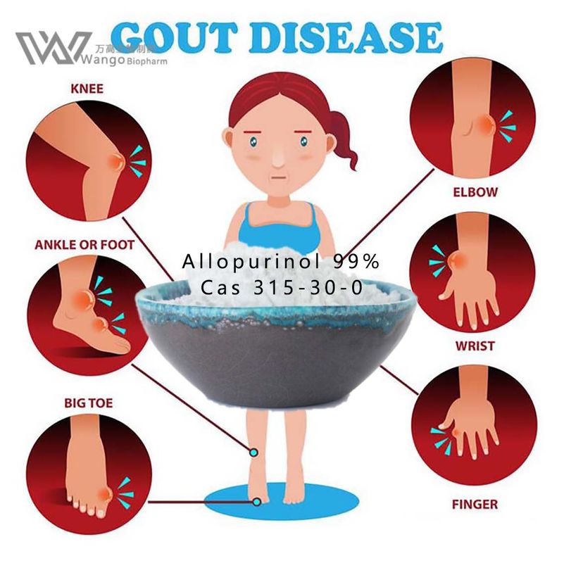 Cas 315-30-0 Zyloprim Allopurinol Powder 99% Purity For Treat Gout