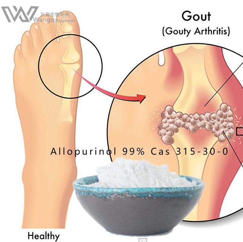 USP 39 Allopurinol Powder , Allopurinol Anti Inflammatory water soluble
