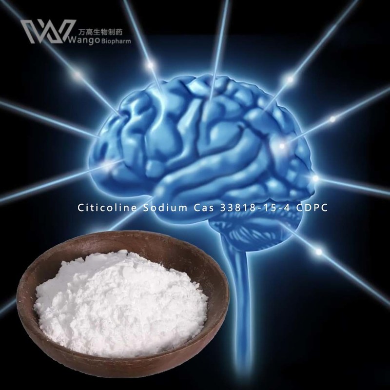 CDP Choline 33818-15-4  Supplement Brain Trauma Protection GMP Standard