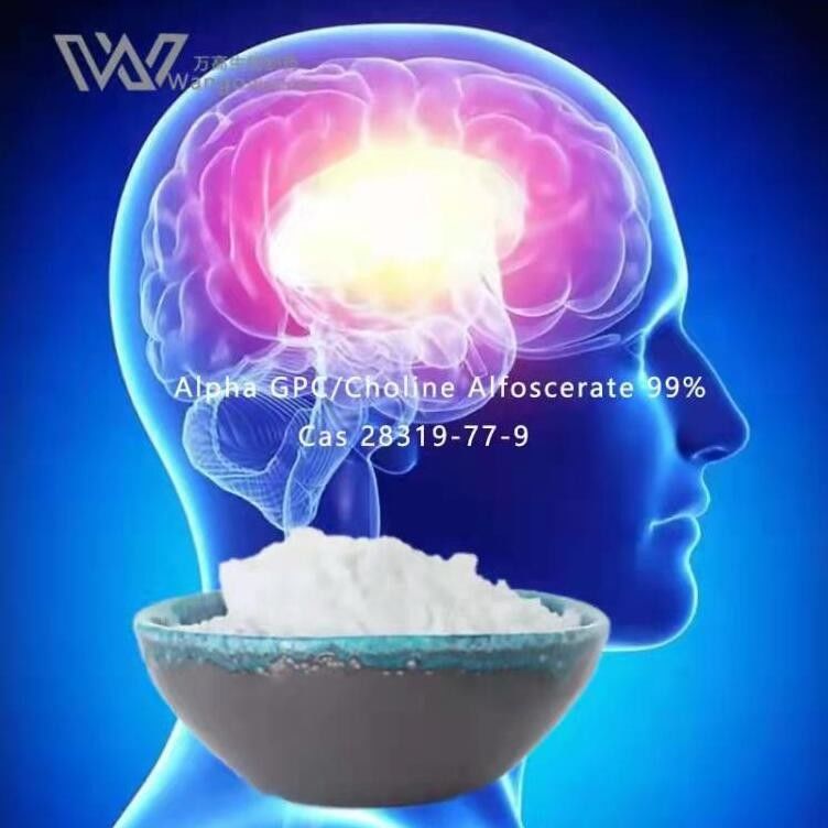 HPLC Nootropics Bulk Powders , Alpha Gpc Acetylcholine  28319-77-9