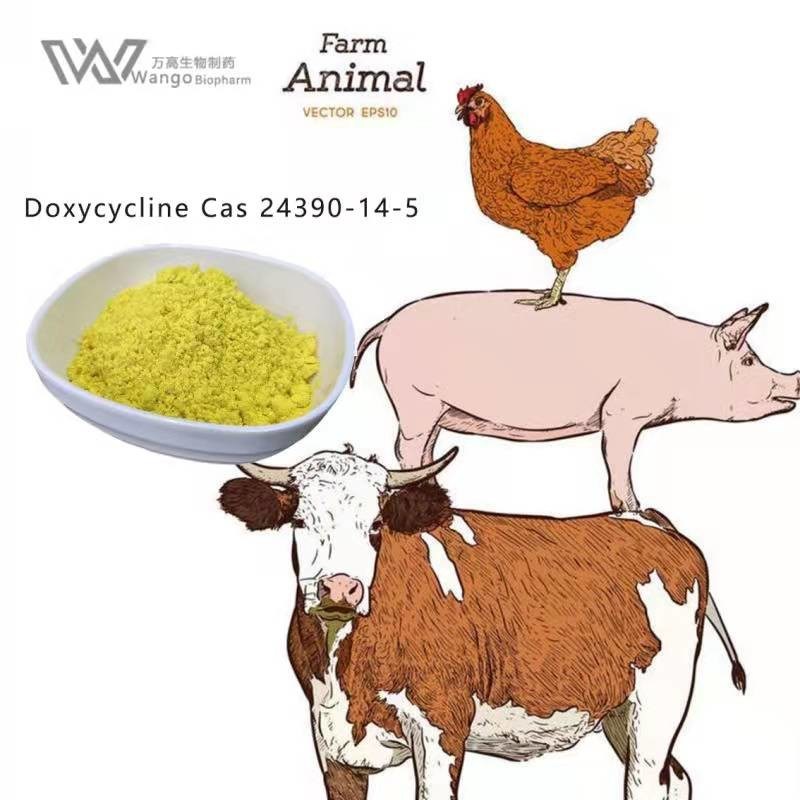 Doxycycline HCL Cas 24390-14-5 Corrosion Remover Pesticide
