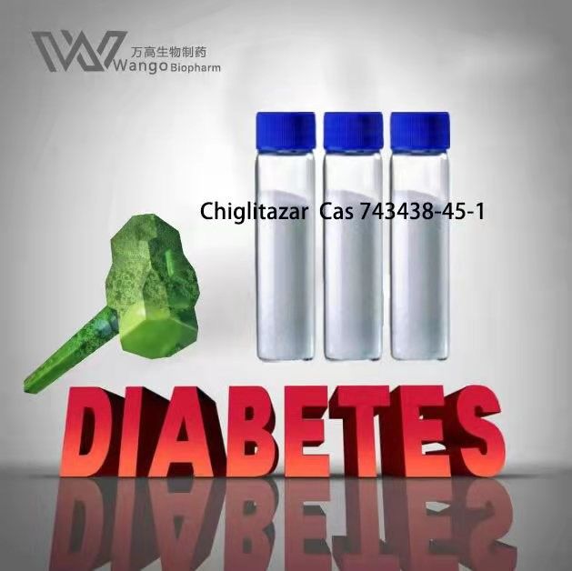Chiglitazar Sodium Ingredient API Active Pharmaceutical Antidiabetic Function CAS 743438-45-1