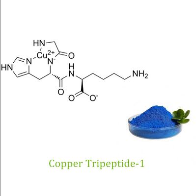 Kupfer-Tripeptid-1-blaues Pulver Anti-Falten-Komplex geeignet für Erwachsene Zutat zur Unterstützung der Hautfeste und zur Verringerung von Falten bei der Hautpflege bei Reifen