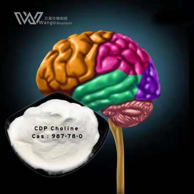 Qualität CDP-Cholin-Ergänzung zur Wiederherstellung des Gehirns nach einer Operation Medizinisches Rohmaterial Schnelle Lieferung CAS 987-78-0 usine